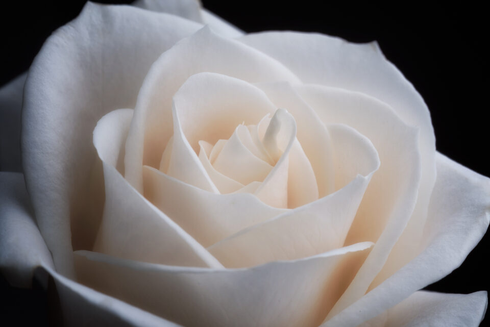 Is There an Ideal Age for Labiaplasty?