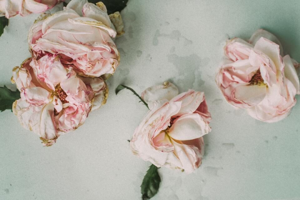 Labiaplasty and Self-Confidence: The Emotional Side