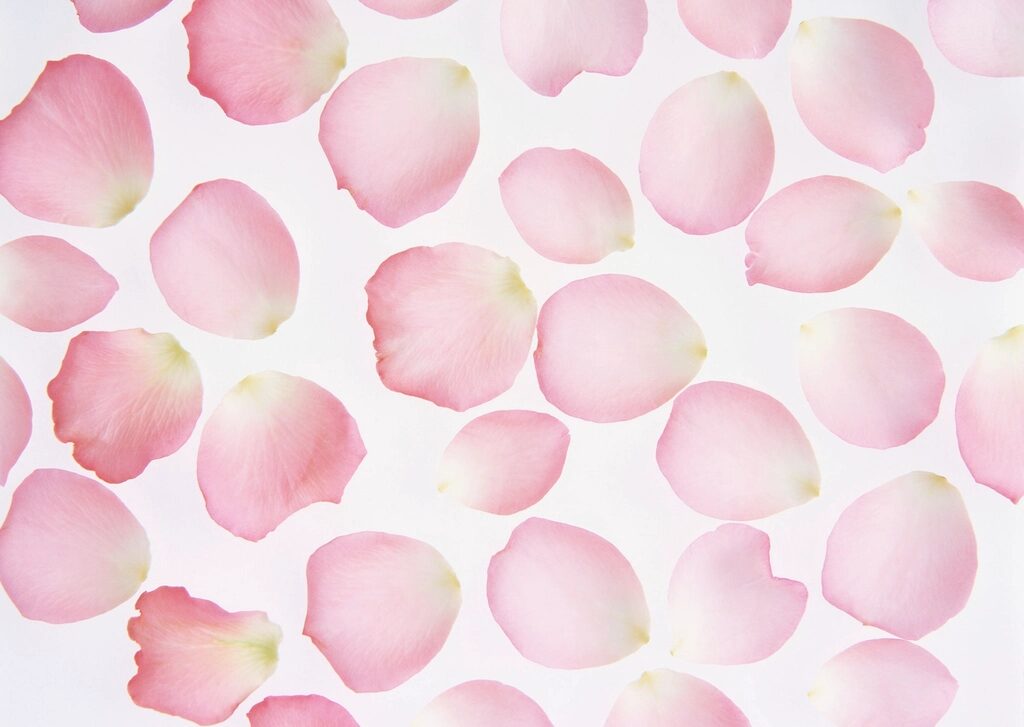 Will Labiaplasty Affect Sensitivity? Myths and Facts